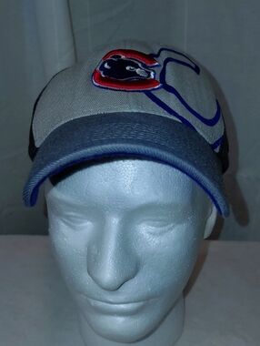 Nike Gray and Blue Embroidered Baseball Cap